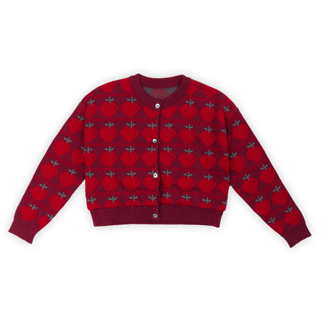 KN25220-Apple Cardigan-earth red