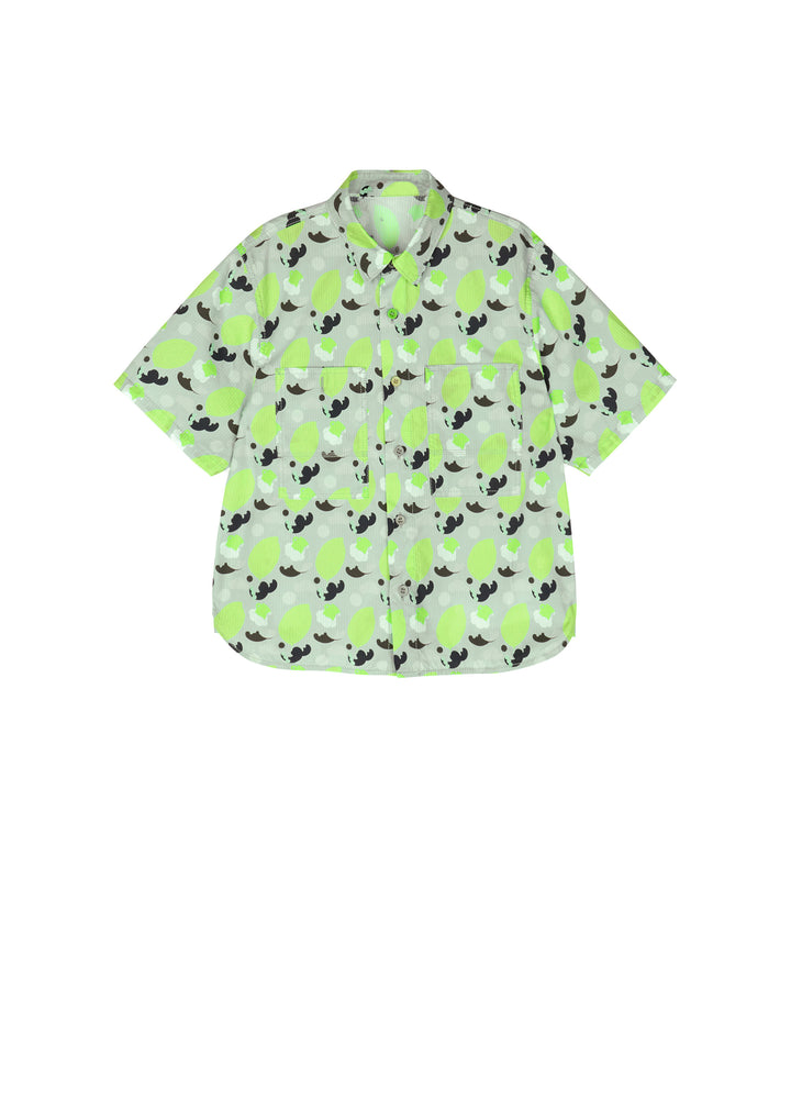 1N5214130-GREEN