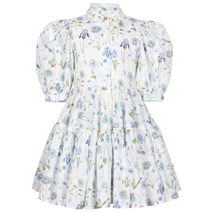 GLISTENING DRESS-BLUE MEADOW
