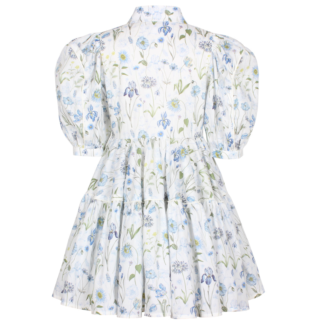GLISTENING DRESS-BLUE MEADOW