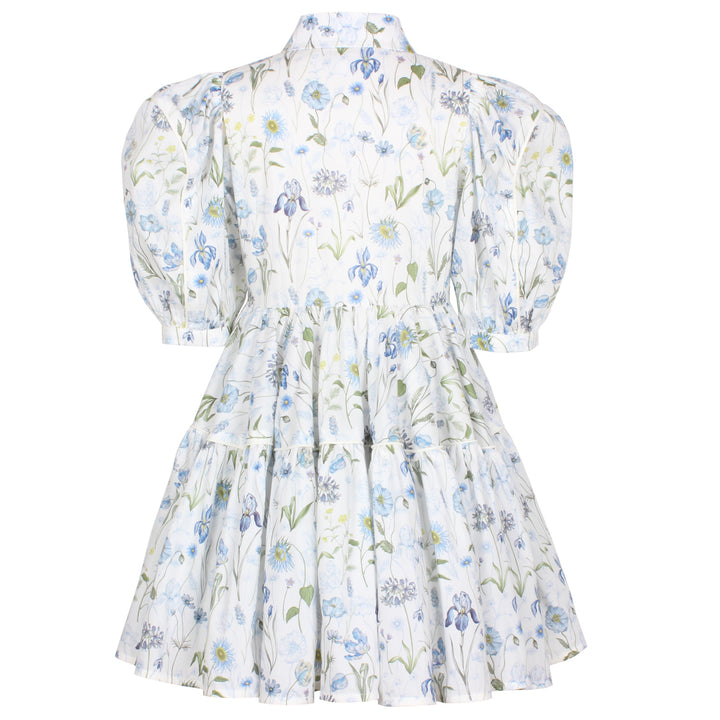 GLISTENING DRESS-BLUE MEADOW