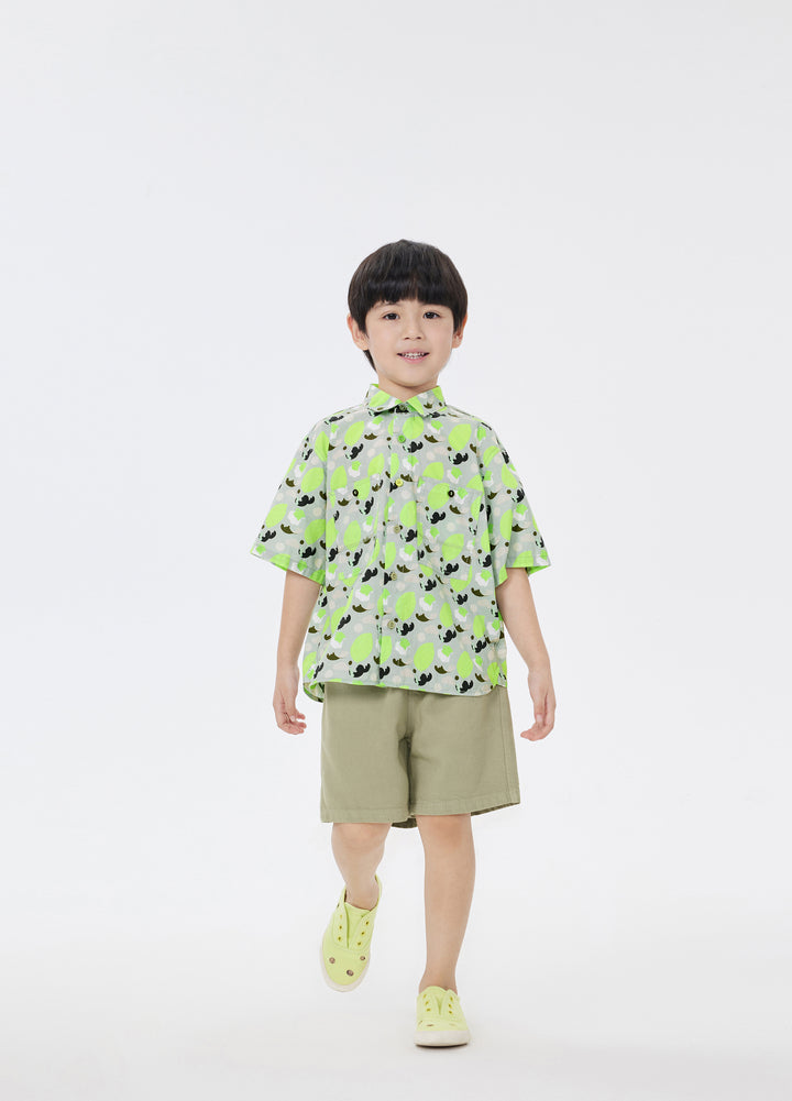 1N5214130-GREEN