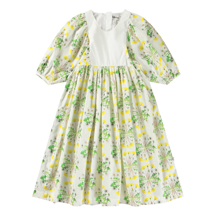 Cinzia-Dandelion Dotty