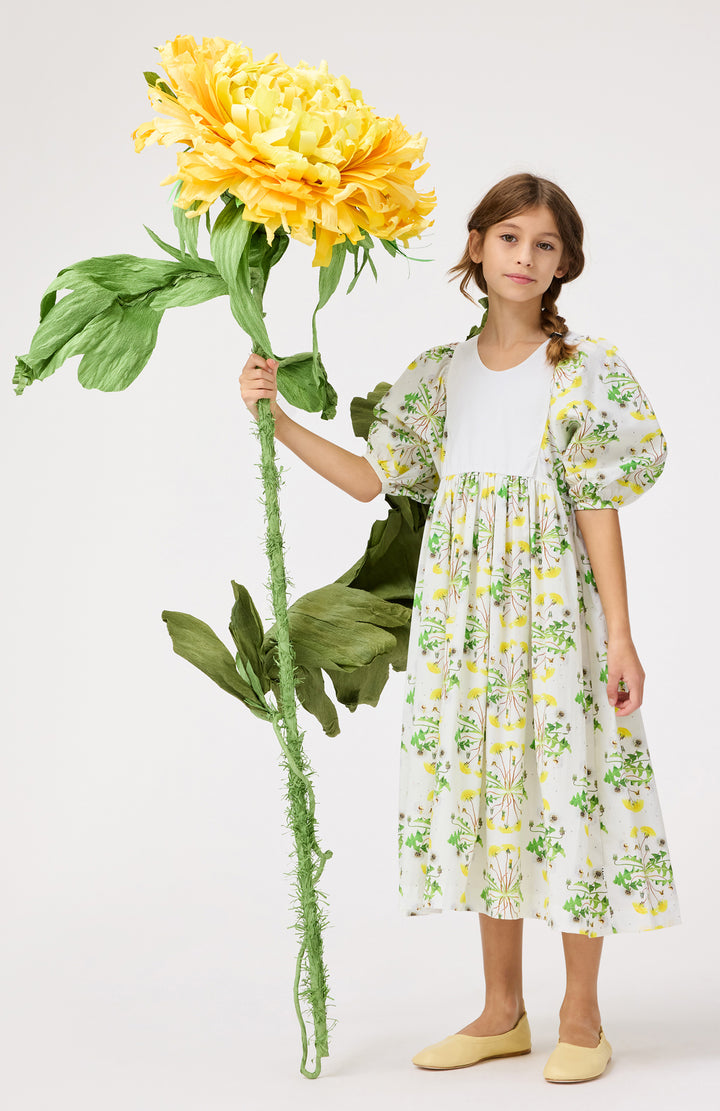 Cinzia-Dandelion Dotty