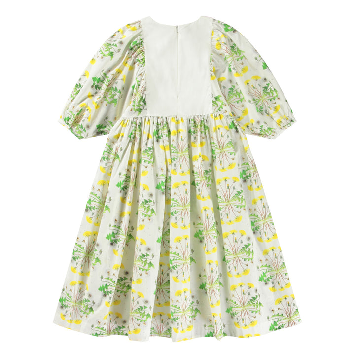 Cinzia-Dandelion Dotty