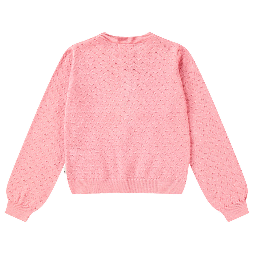 Georgina-Pink Lemonade