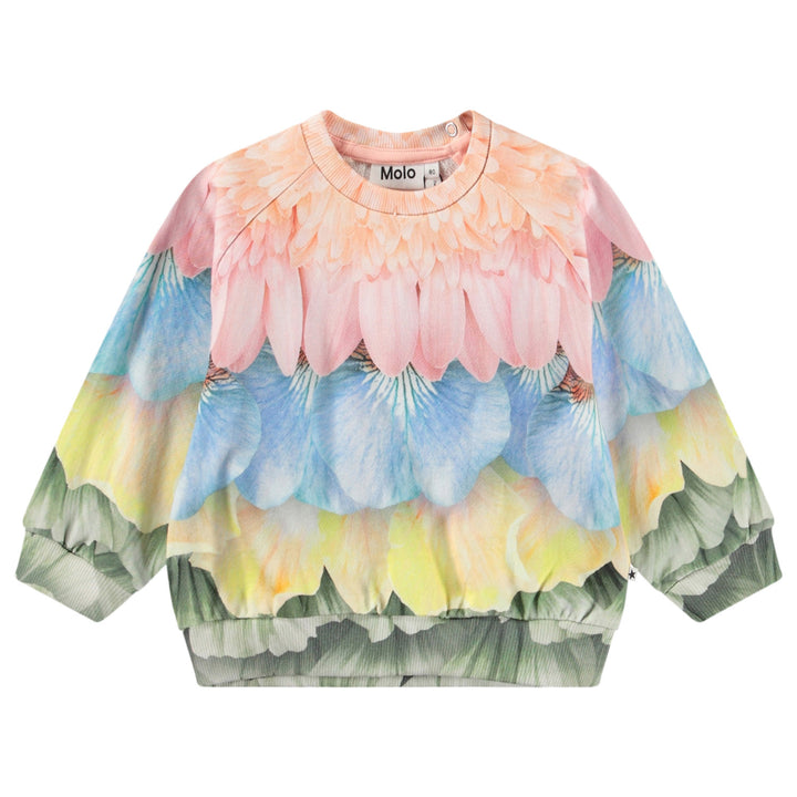 Disc-Petal Rainbow