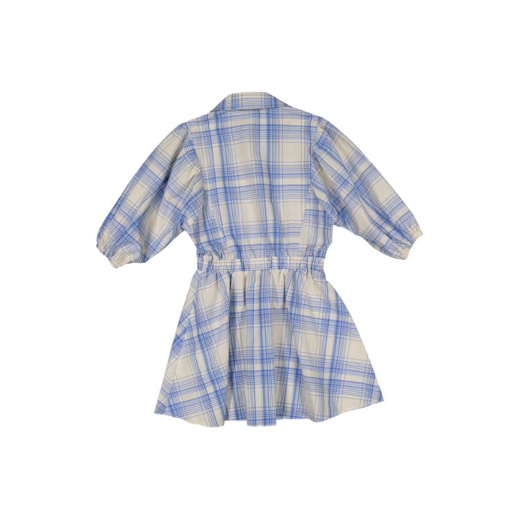 PINNACLE-Blue Check