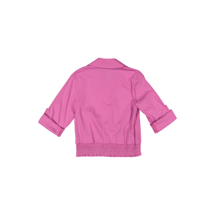 PARADIGM-Pink
