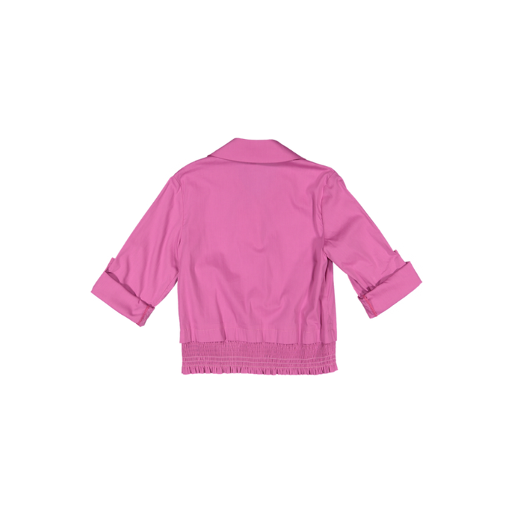 PARADIGM-Pink