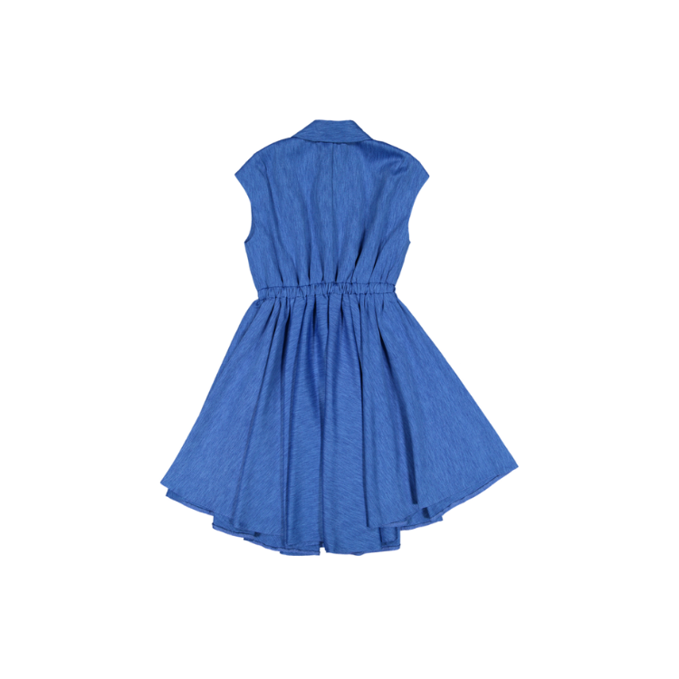 PALLIATE-Blue
