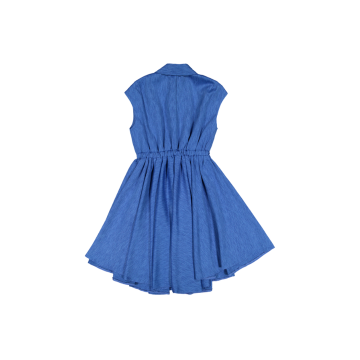 PALLIATE-Blue