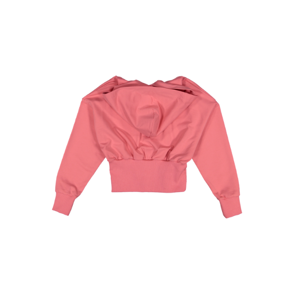 LM29042-Top-Dalia
