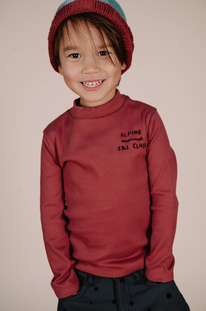 W23-816-Barn Red