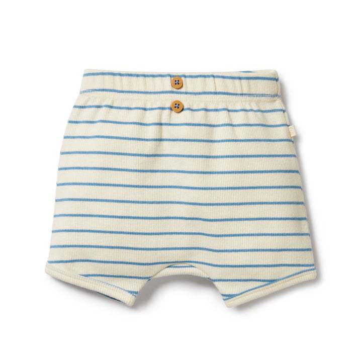 Organic Short - Petit Blue