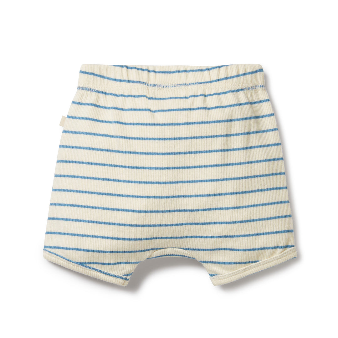 Organic Short - Petit Blue