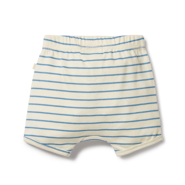 Organic Short - Petit Blue
