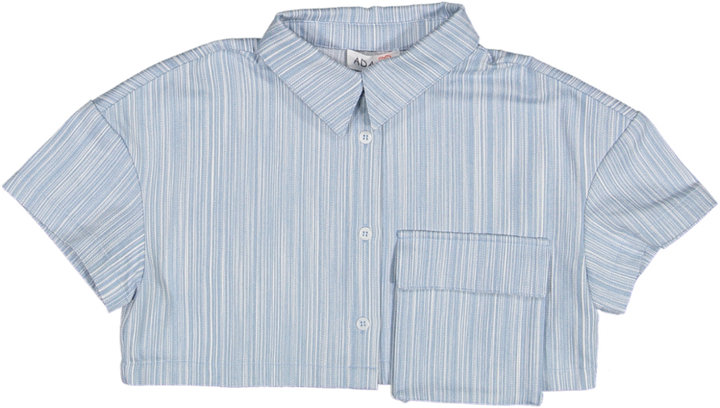 ADA 2-blue stripe