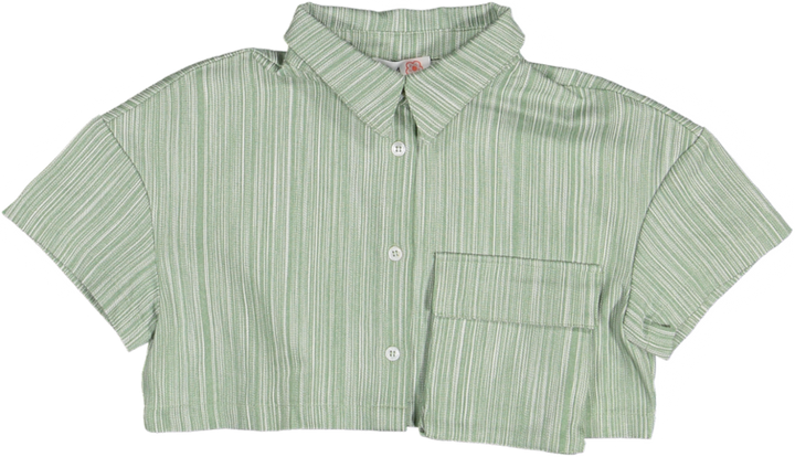 ADA 2-green stripe
