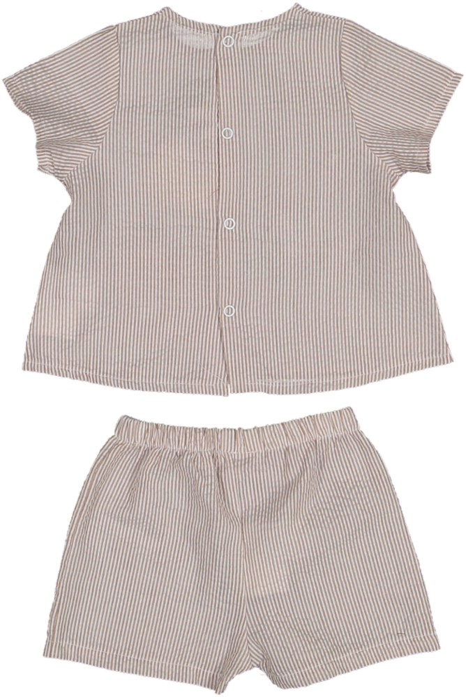 J24S/337B-BROWN