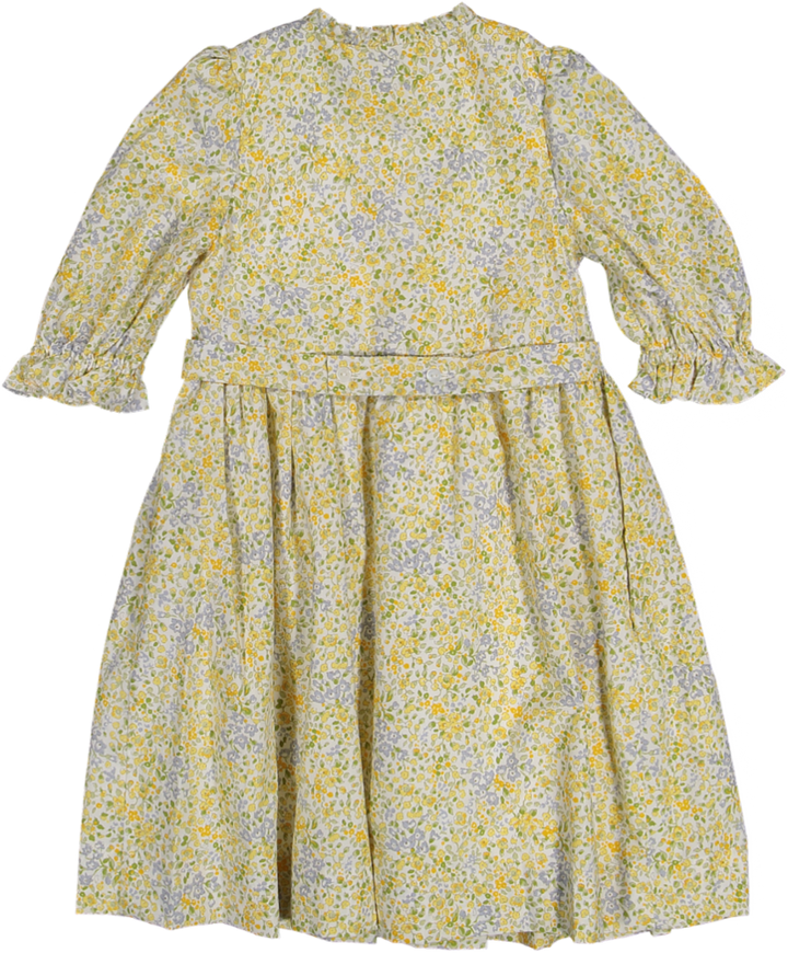 34171-LOLYNE DRESS 3/4 SLV-Ditsy Yellow/Blue Print