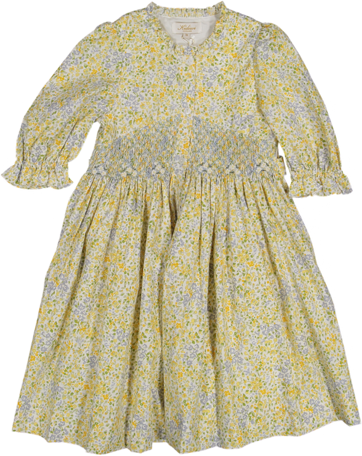 34171-LOLYNE DRESS 3/4 SLV-Ditsy Yellow/Blue Print
