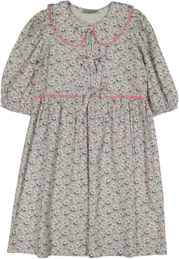 SS25005-ILIA DRESS-SEAFOAM GREEN WITH WHITE FLOWERS