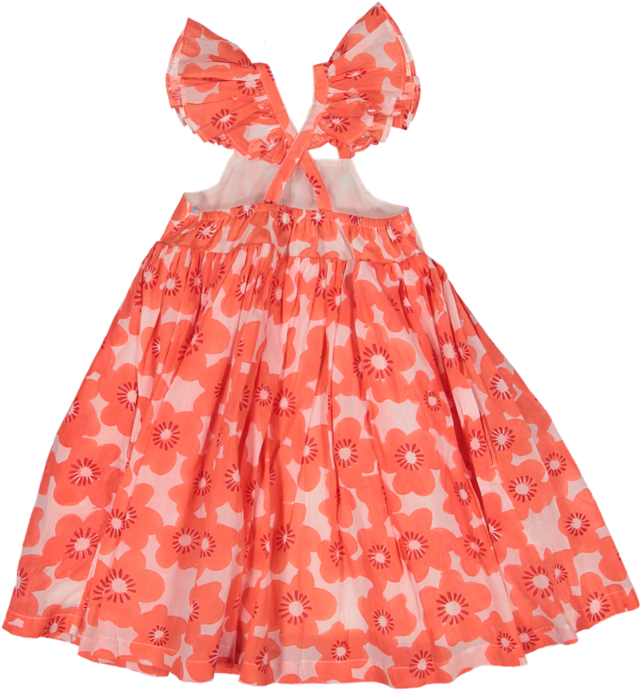 MIA-FUSCHIA DAISY