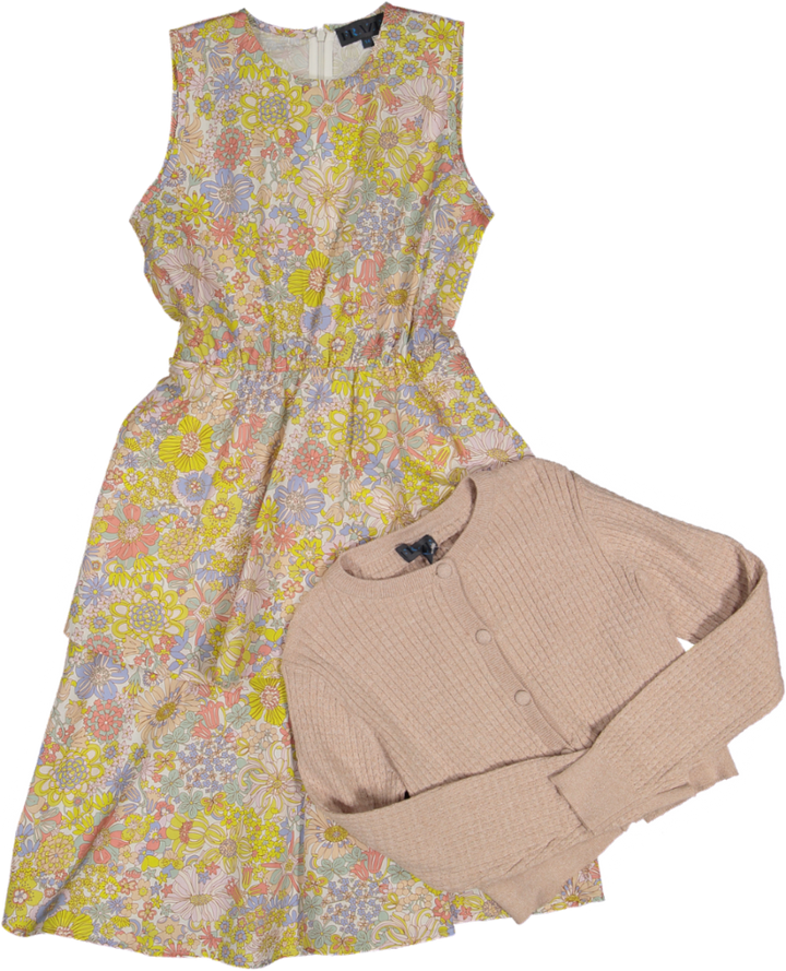 GS5043-DRESS-Multi Color