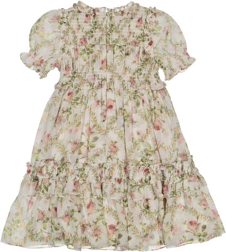 COLETTE'S ROSE EMILIA GEORGETTE KIDS DRESS-MOONSHINE