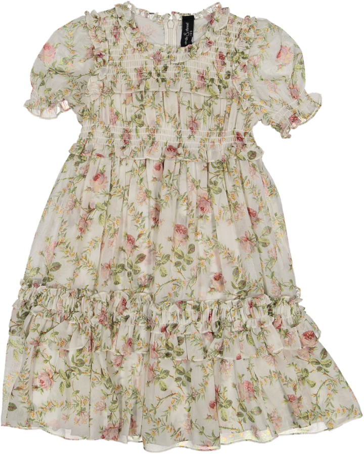 COLETTE'S ROSE EMILIA GEORGETTE KIDS DRESS-MOONSHINE