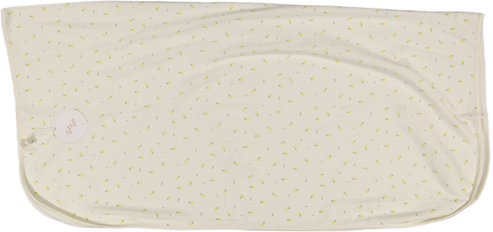 PS010-Natural lemons