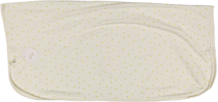 PS010-Natural lemons