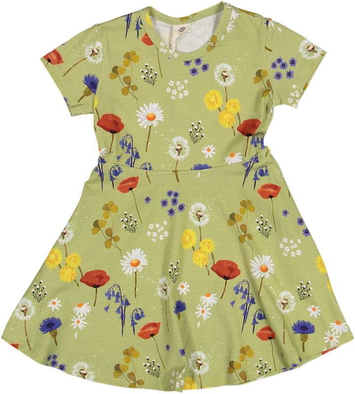 WD31-320-Wild Flowers - Skater Dress