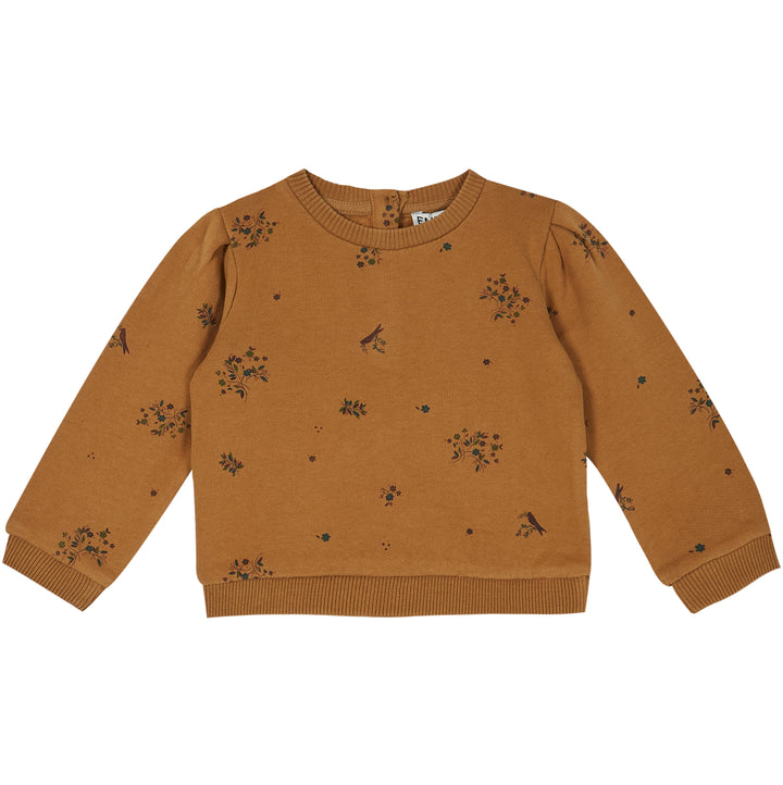 V173A.SWEATSHIRT-CUCKOO NUTS