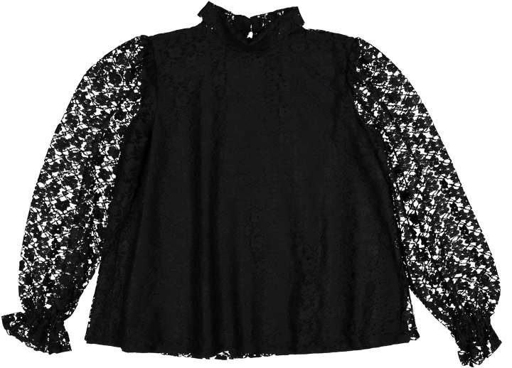 CALENDULA-11-Black Lace